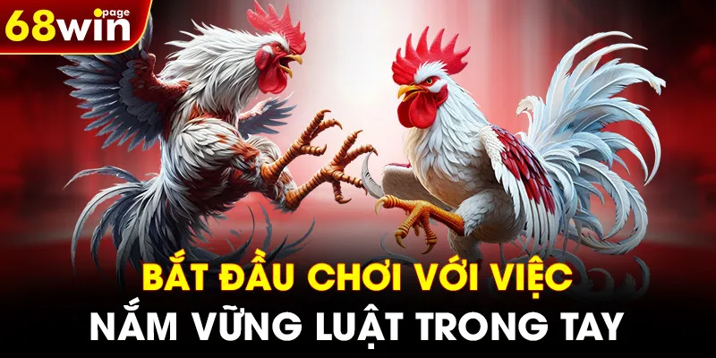 Bắt đầu chơi với việc nắm vững luật trong tay