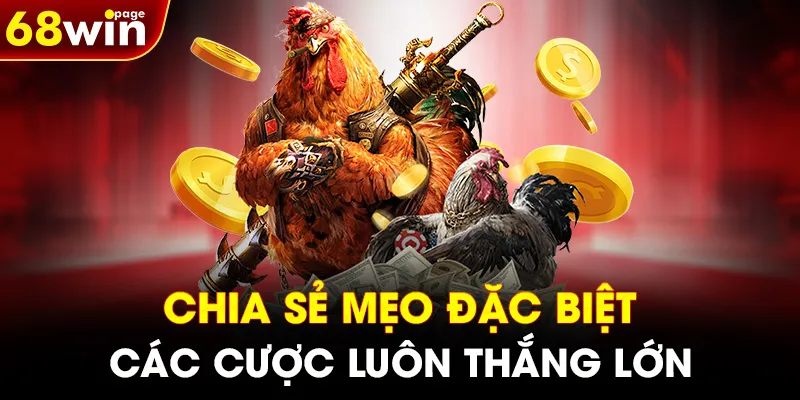 Chia sẻ mẹo đặc biệt các cược luôn thắng lớn