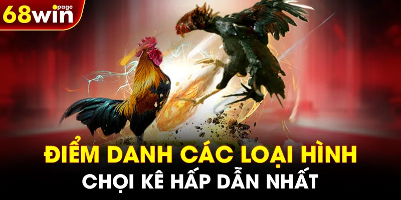 Điểm danh các loại hình chọi kê hấp dẫn nhất