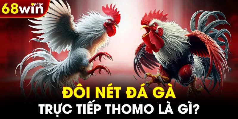 Đôi nét đá gà trực tiếp Thomo là gì?