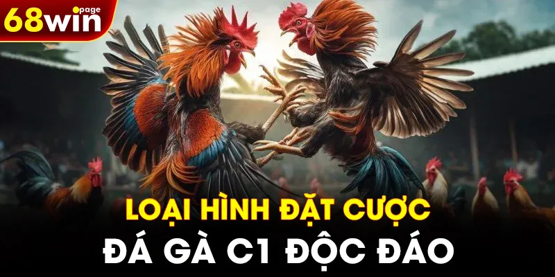 Loại hình đặt cược đá gà C1 độc đáo