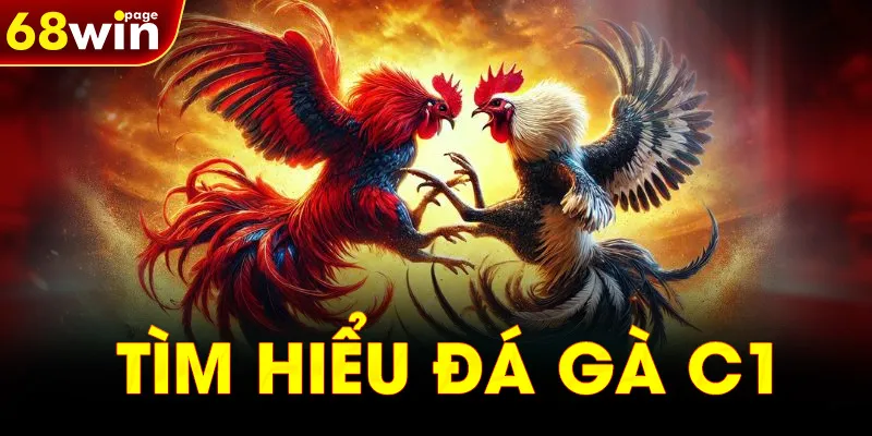 Tìm hiểu đá gà C1