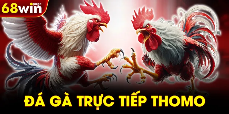 ĐÁ GÀ TRỰC TIẾP THOMO
